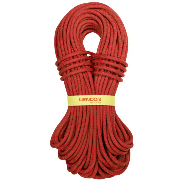 Tendon Ambition 10 mm 60 m dinamičko uže